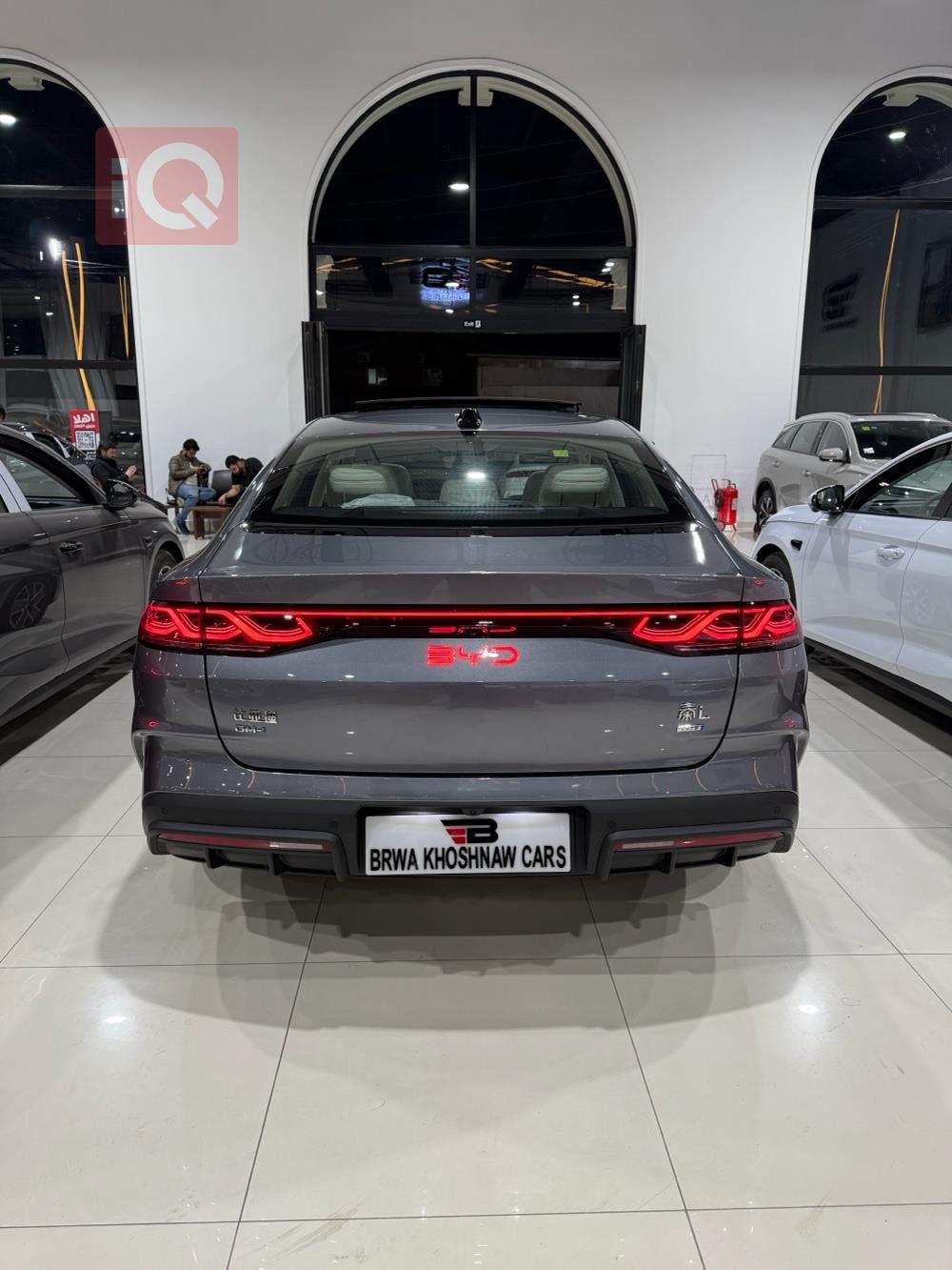 بي واي دي كوين L DM-i